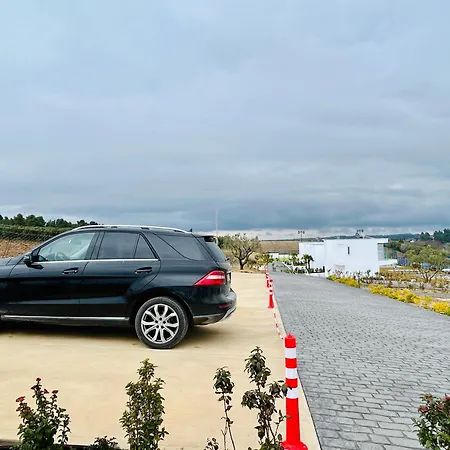 Dom wakacyjny Sani Beverly Hills Luxury *